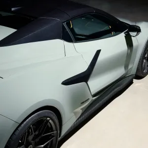 "GTZ" Side Skirts | Carbon Fiber | C8 Z06 & E-Ray