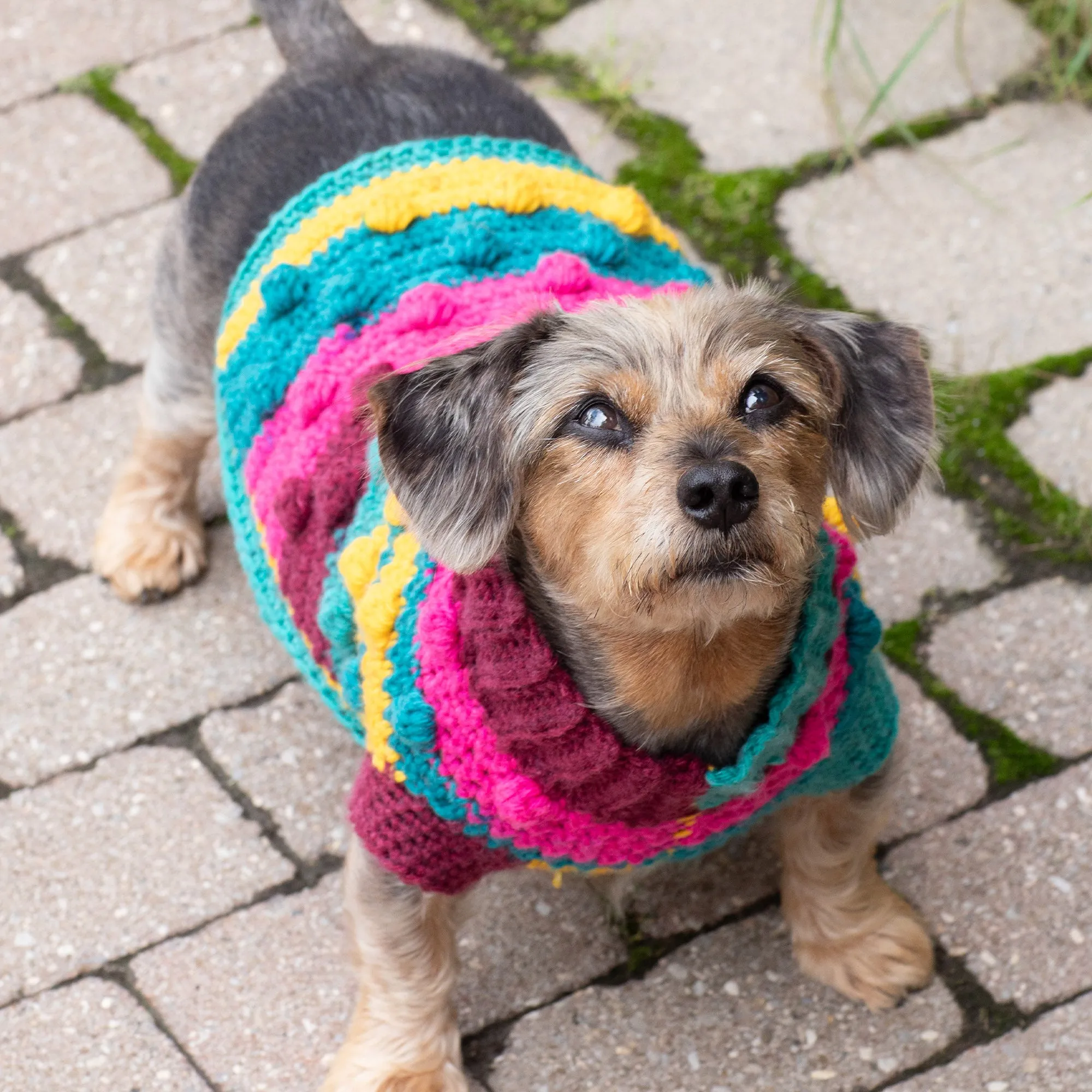 Red Heart Bits & Bobbles Crochet Dog Sweater